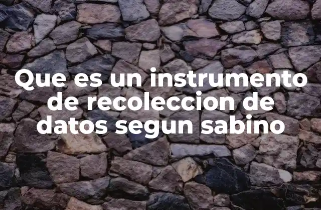 Que es un Instrumento de Recoleccion de Datos Segun Sabino