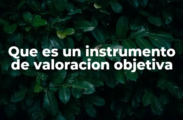 Que es un Instrumento de Valoracion Objetiva