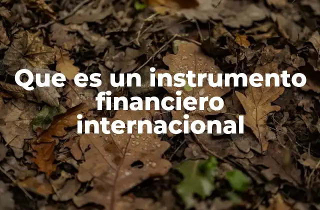Que es un Instrumento Financiero Internacional