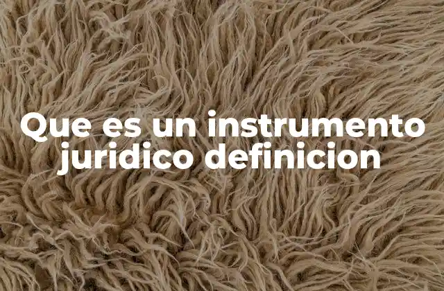 Que es un Instrumento Juridico Definicion