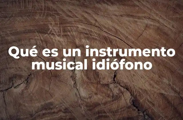 Qué es un Instrumento Musical Idiófono
