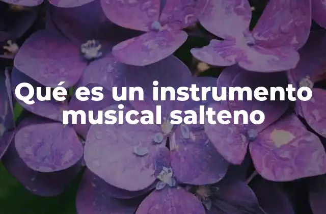 Qué es un Instrumento Musical Salteno