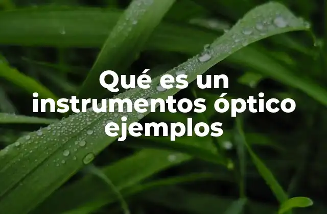Qué es un Instrumentos Óptico Ejemplos