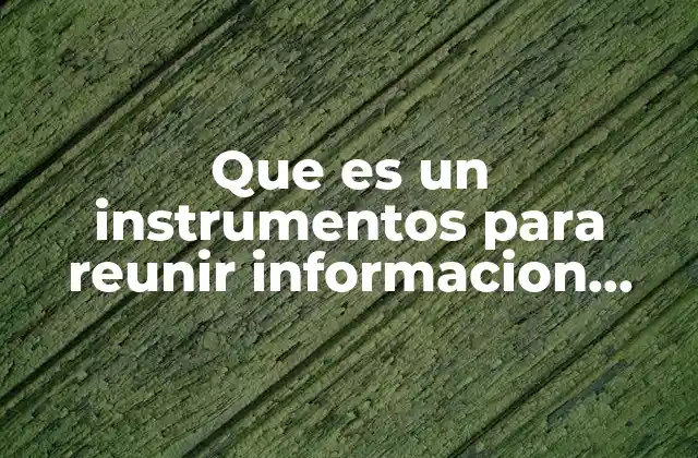 Que es un Instrumentos para Reunir Informacion para Proyectos