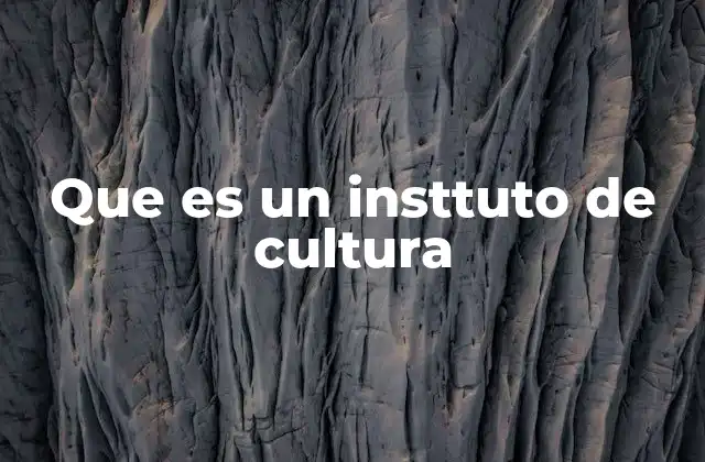 Que es un Insttuto de Cultura