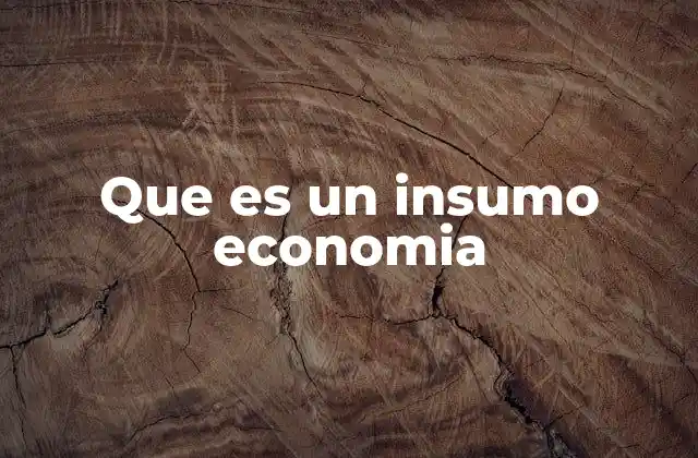 Que es un Insumo Economia