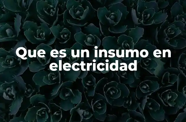Que es un Insumo en Electricidad