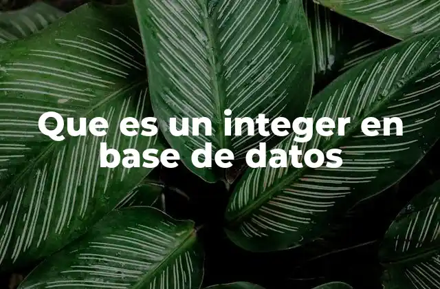 Que es un Integer en Base de Datos