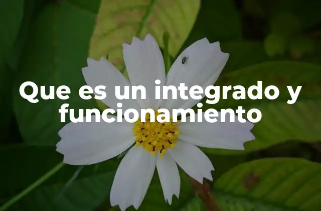 Que es un Integrado y Funcionamiento