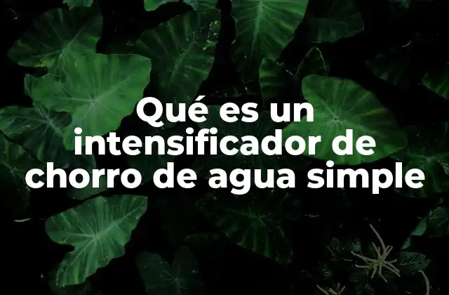 Qué es un Intensificador de Chorro de Agua Simple 2 Cómo funciona sin mencionar directamente la palabra clave