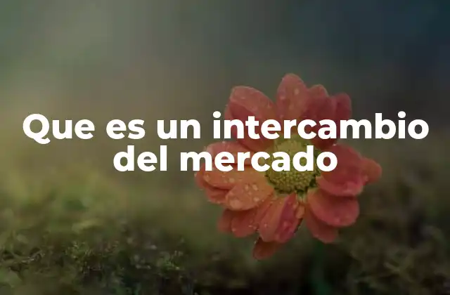 Que es un Intercambio Del Mercado