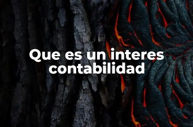 Que es un Interes Contabilidad