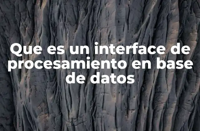 Que es un Interface de Procesamiento en Base de Datos