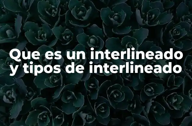 Que es un Interlineado y Tipos de Interlineado
