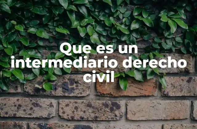Que es un Intermediario Derecho Civil