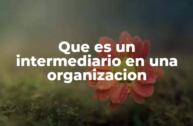 Que es un Intermediario en una Organizacion