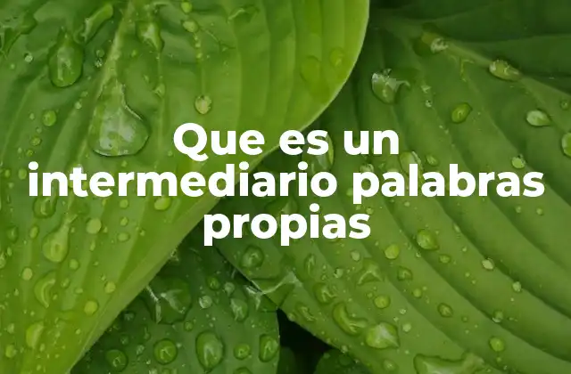 Que es un Intermediario Palabras Propias