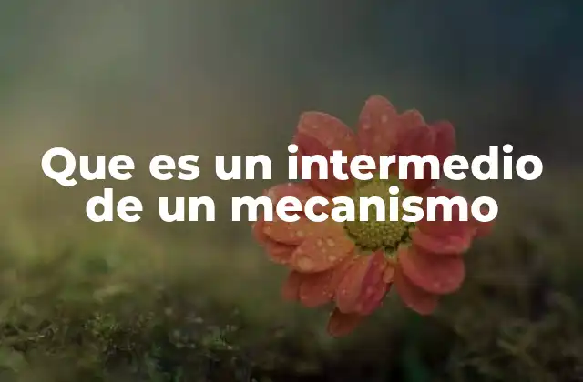 Que es un Intermedio de un Mecanismo