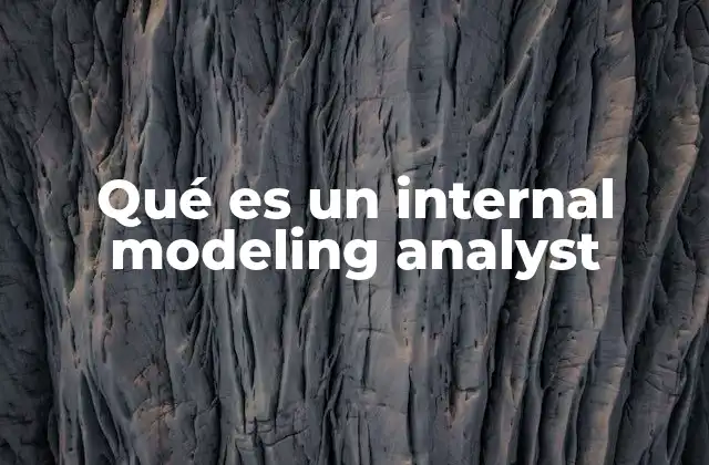 Qué es un Internal Modeling Analyst