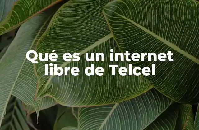 Qué es un Internet Libre de Telcel 2 Acceso a internet sin depender de Telcel