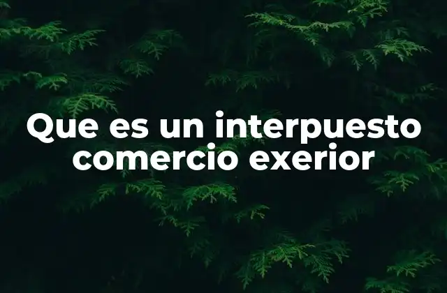 Que es un Interpuesto Comercio Exerior