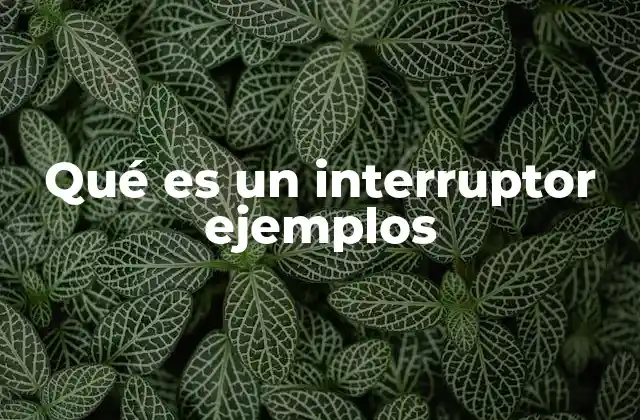 Qué es un Interruptor Ejemplos 2 Tipos de interruptores eléctricos y sus aplicaciones