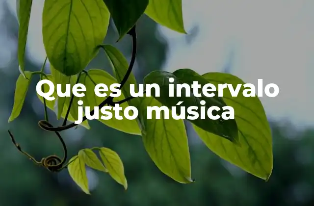Que es un Intervalo Justo Música
