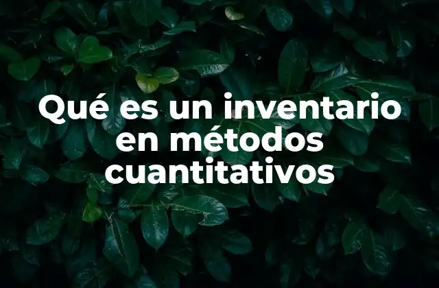 Qué es un Inventario en Métodos Cuantitativos
