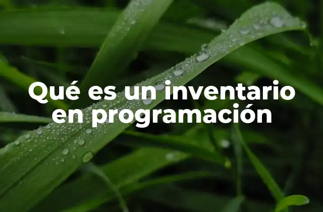Qué es un Inventario en Programación