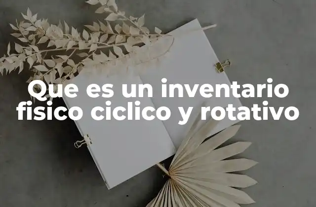 Que es un Inventario Fisico Ciclico y Rotativo