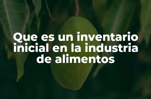 Que es un Inventario Inicial en la Industria de Alimentos