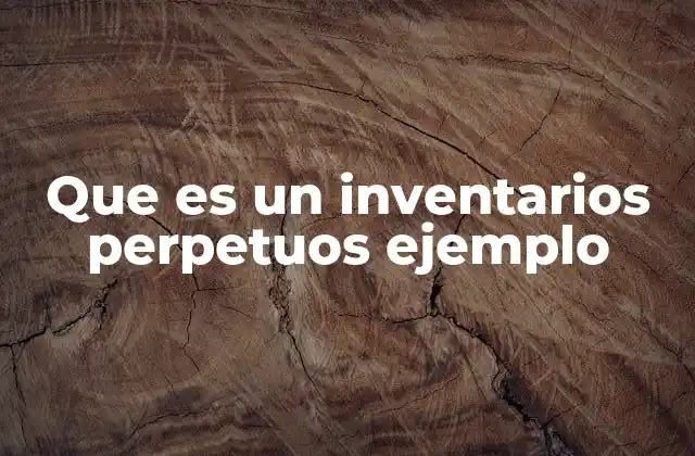 Que es un Inventarios Perpetuos Ejemplo