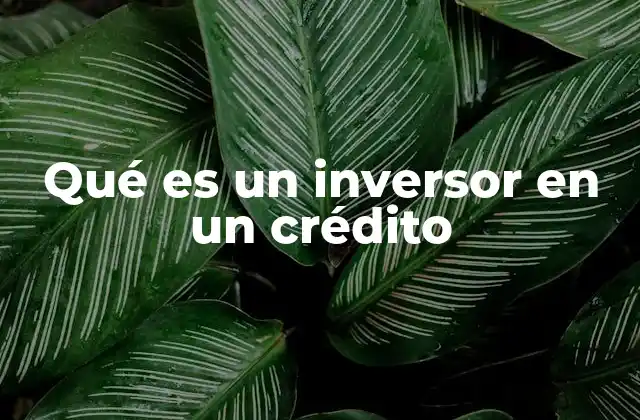 Qué es un Inversor en un Crédito