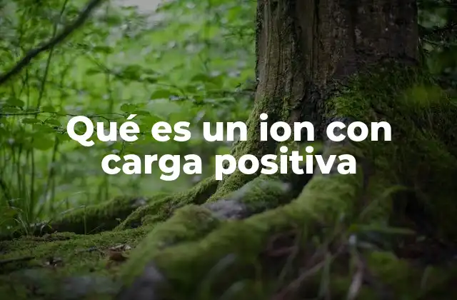 Qué es un Ion con Carga Positiva