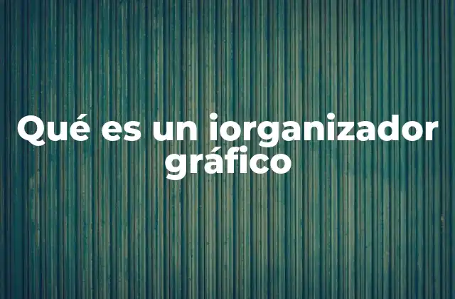 Qué es un Iorganizador Gráfico