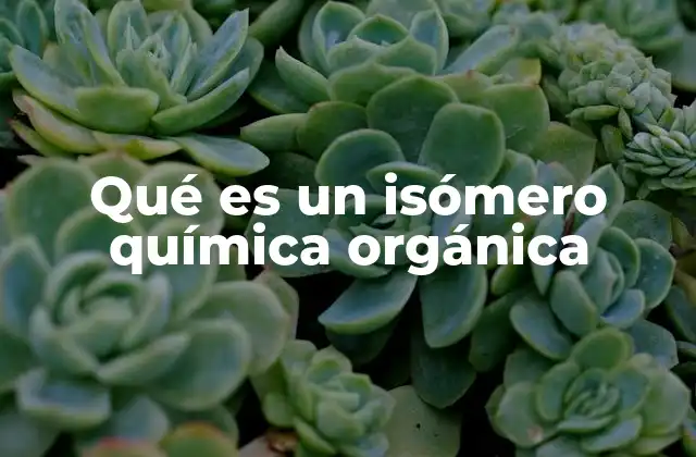 Qué es un Isómero Química Orgánica