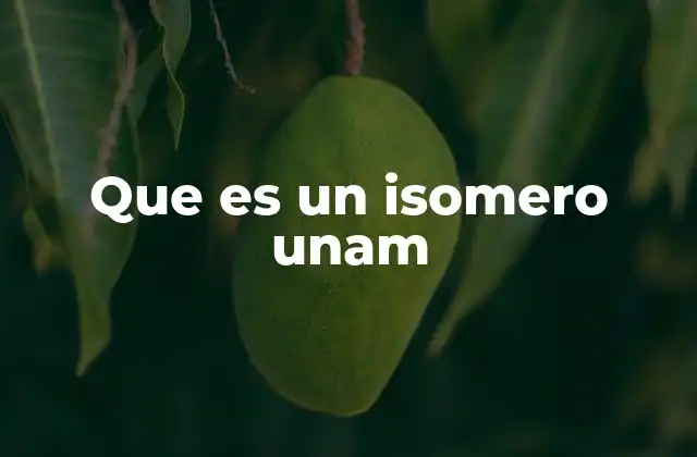 Que es un Isomero Unam