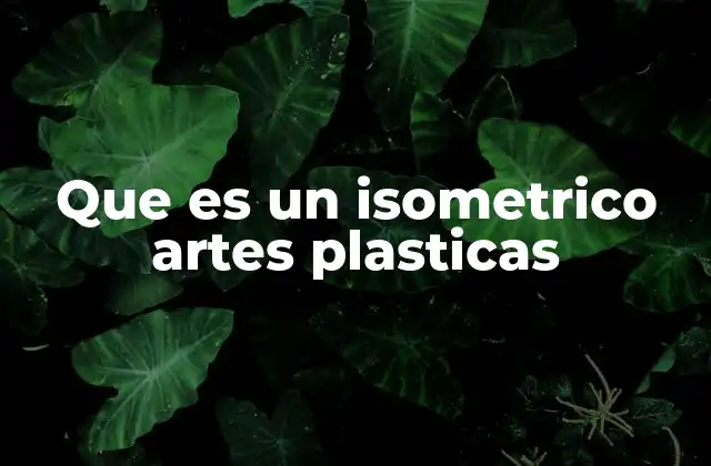 Que es un Isometrico Artes Plasticas