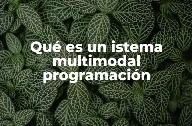 La importancia de los sistemas multimodales en la programación moderna