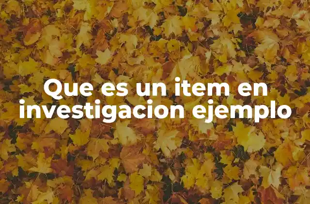 Que es un Item en Investigacion Ejemplo