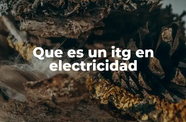 Que es un Itg en Electricidad
