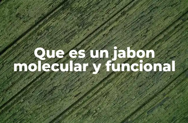 Que es un Jabon Molecular y Funcional