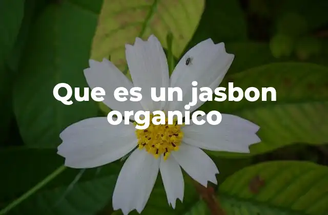 Que es un Jasbon Organico