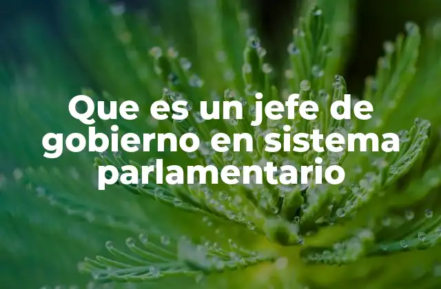 Que es un Jefe de Gobierno en Sistema Parlamentario