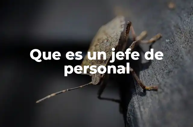Que es un Jefe de Personal