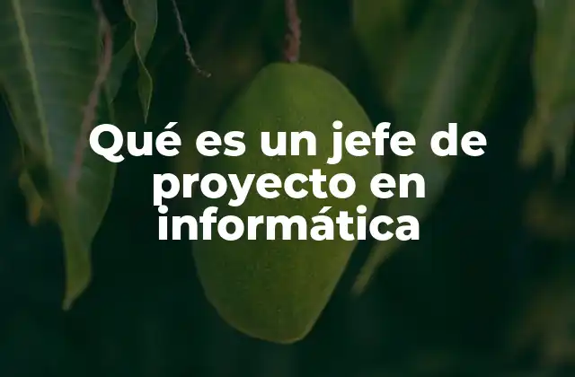 Qué es un Jefe de Proyecto en Informática