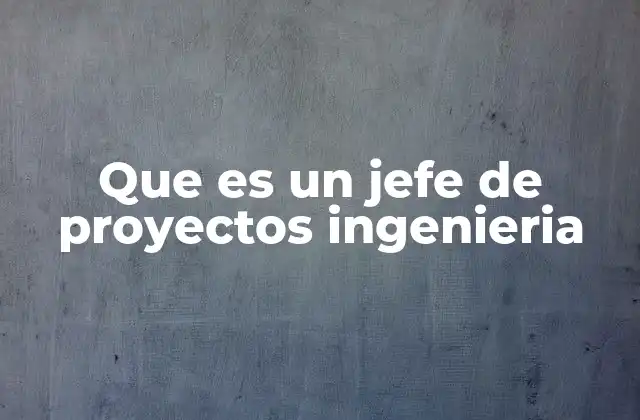 Que es un Jefe de Proyectos Ingenieria