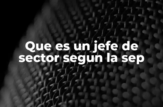 Que es un Jefe de Sector Segun la Sep