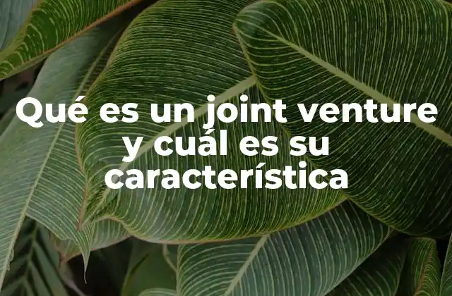 Qué es un Joint Venture y Cuál es Su Característica