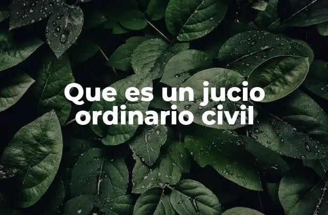 Que es un Jucio Ordinario Civil